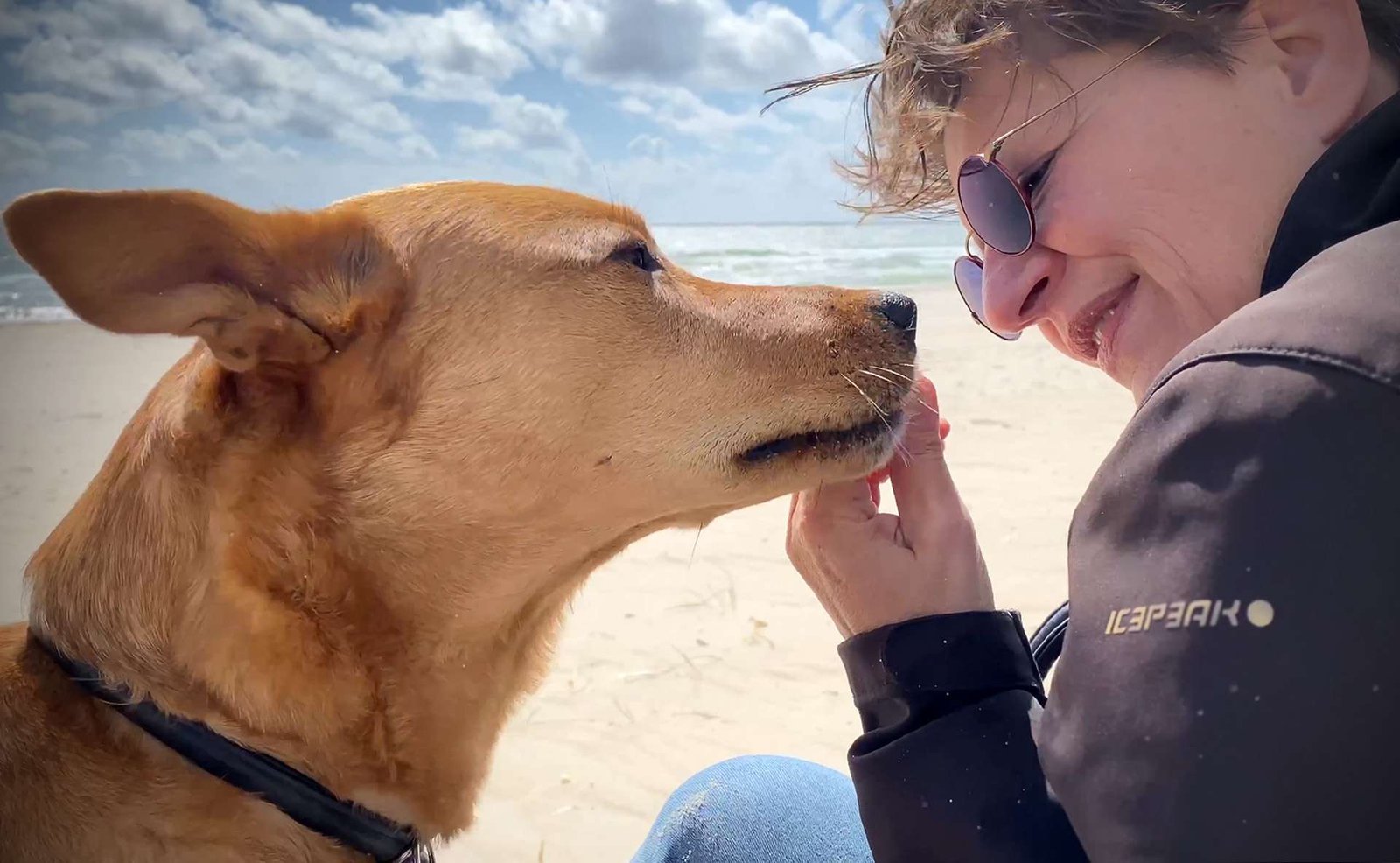 Korrigieren oder loben … oder beides?